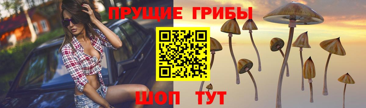 Псилоцибиновые грибы Psilocybine cubensis  Вход с VPN  Батайск 